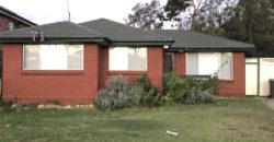 8 Hawkesbury Street Fairfield West NSW 2165