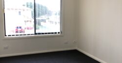 38A Rosedale Street Canley  Heights NSW 2165