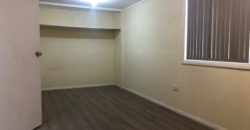 2 Chelsea Dr, Canley Heights NSW 2166