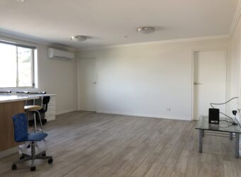 147A Canley Vale Road, Canley Heights NSW 2166