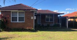 113 River Avenue, Villawood NSW 2163