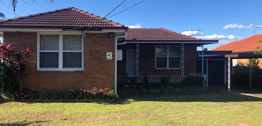 113 River Avenue, Villawood NSW 2163