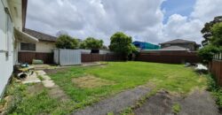 102 The Avenue, Canley Vale NSW 2166