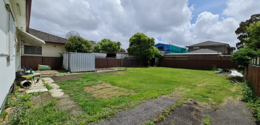 102 The Avenue, Canley Vale NSW 2166