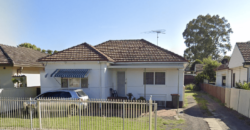 102 The Avenue, Canley Vale NSW 2166